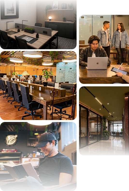 En D Cafe Hub contamos con renta espacios para trabajar (coworking), indivual o en equipo (grupos), conocenos. Renta de cubículos privados.